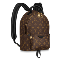 New Louis Vuitton Palm Springs PM Bag for Women