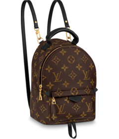 Women's Louis Vuitton Palm Springs Mini Buy - offering the latest fashionable style!