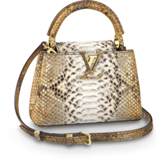 New Brown and Golden Louis Vuitton Capucines Mini Combination: Buy Now!