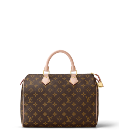 Louis Vuitton Louis Vuitton Speedy 30