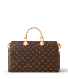 Louis Vuitton Louis Vuitton Speedy 35