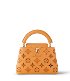 Louis Vuitton Louis Vuitton Capucines Mini