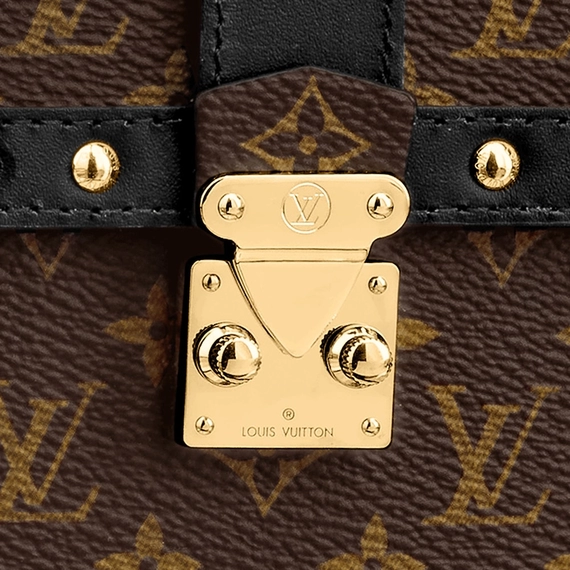 Get a Unique Style with Louis Vuitton Vertical Trunk Pochette - Women