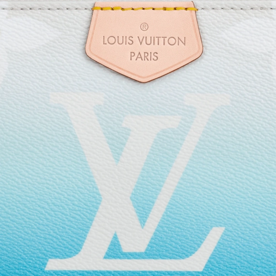 Women's Must-Have: Louis Vuitton Multi Pochette Accessoires.