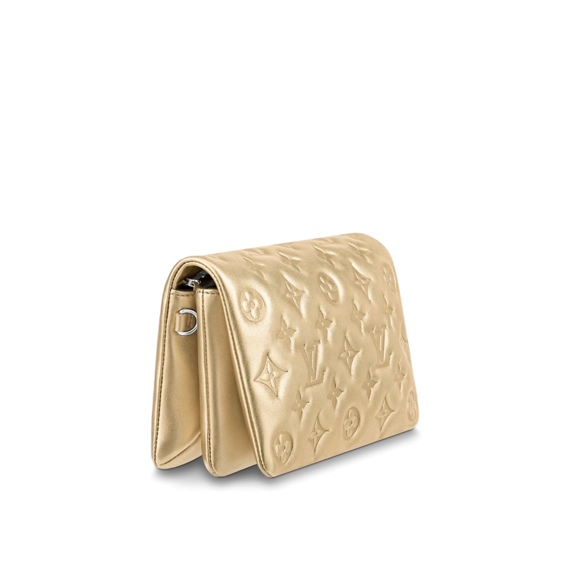 Stylish and Chic Louis Vuitton Pochette Coussin for Women