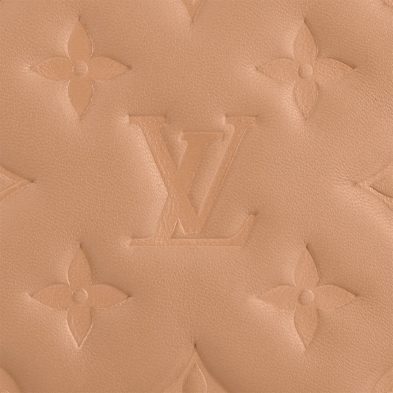 Stylish Louis Vuitton Pochette Coussin for Women