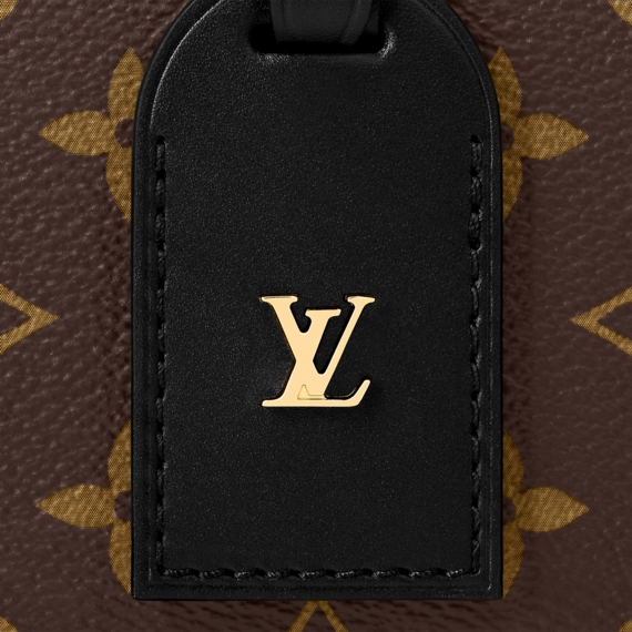 Women's Louis Vuitton Petite Malle Souple Fashion