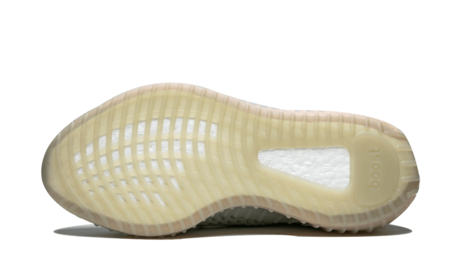 Buy the stylish Yeezy Boost 350 v2 True Form sneakers