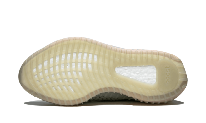 Women's Yeezy Boost 350 v2 True Form - Buy Fresh