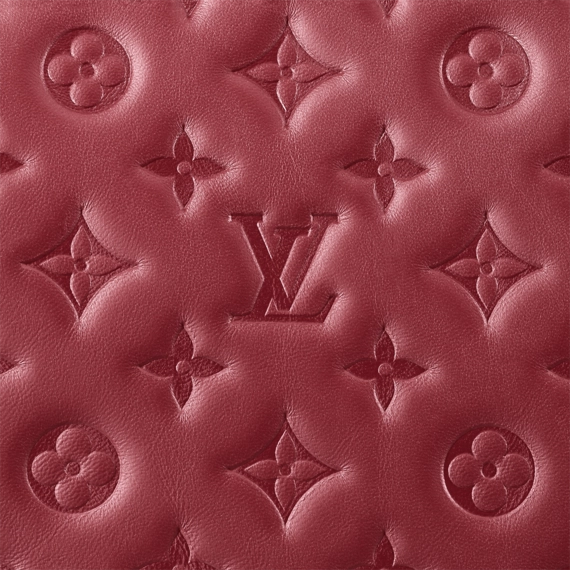 Great Savings on Louis Vuitton Coussin PM for Women