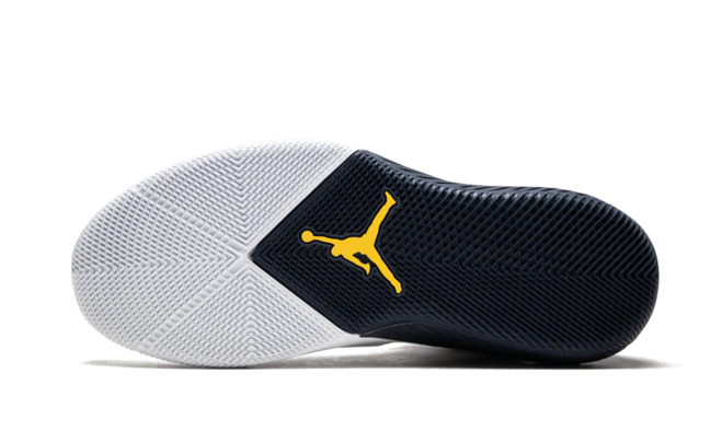 Air Jordan 31 Why Not Zero .1 Michigan PE