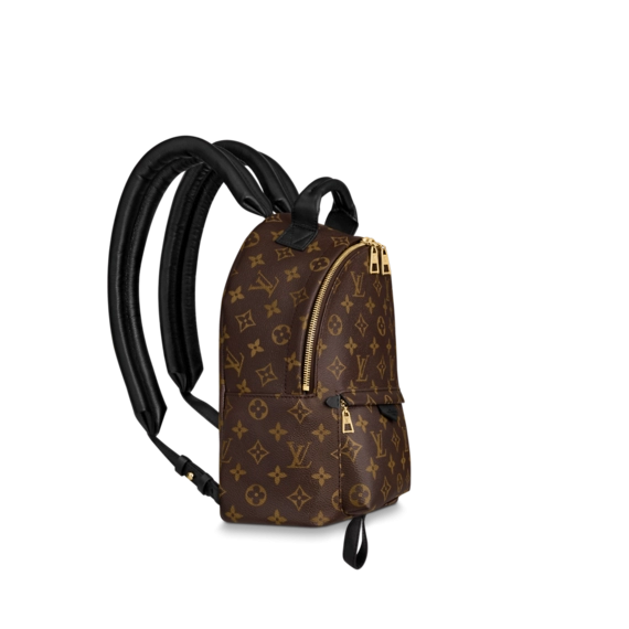 Original Louis Vuitton Palm Springs PM Bags for Women