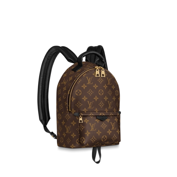 New Louis Vuitton Palm Springs PM Bag for Women