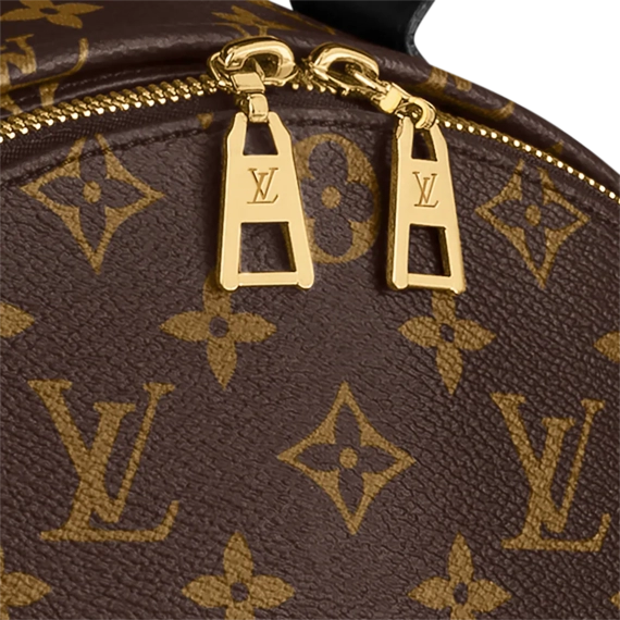 Get New Louis Vuitton Palm Springs MM from our outlet just for the ladies!