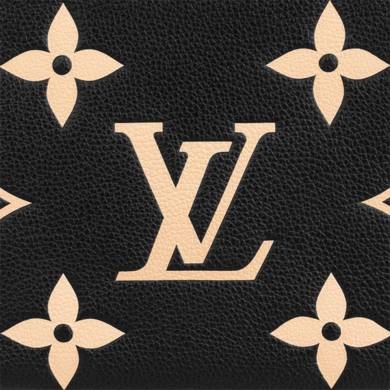 Beautiful Louis Vuitton Double Zip Pochette - Original Product for Women