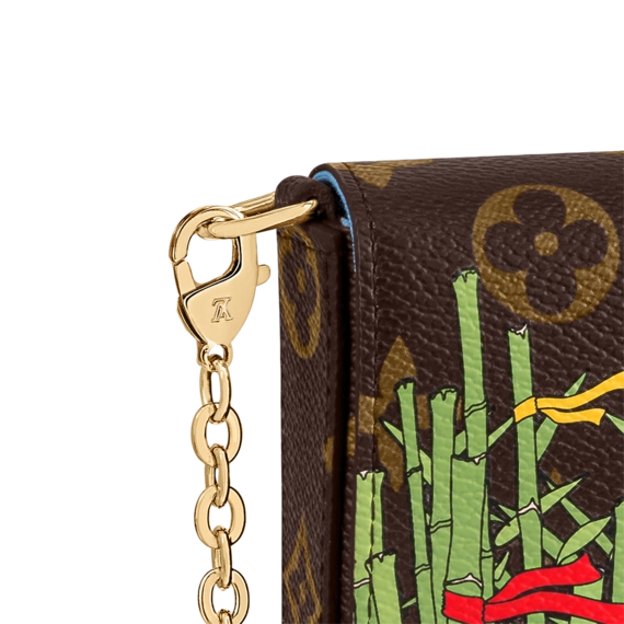 Shop Women's Authentic Louis Vuitton Felicie Pochette