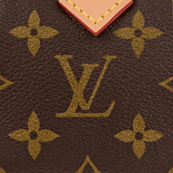 Get Your Original Women's Louis Vuitton Nano Speedy