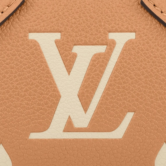 Shop Louis Vuitton Women's Nano Speedy Now