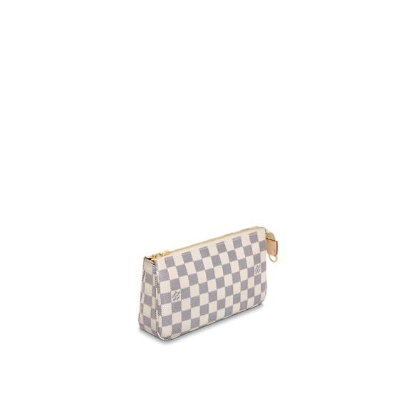 Get the Latest Louis Vuitton Pochette Accessoires - Classy and Stylish