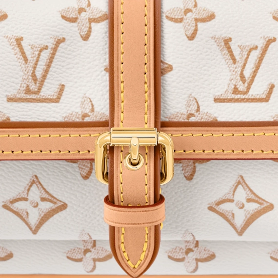Shop the Original Louis Vuitton Maxi Multi Pochette Accessoires for Women - Buy Now