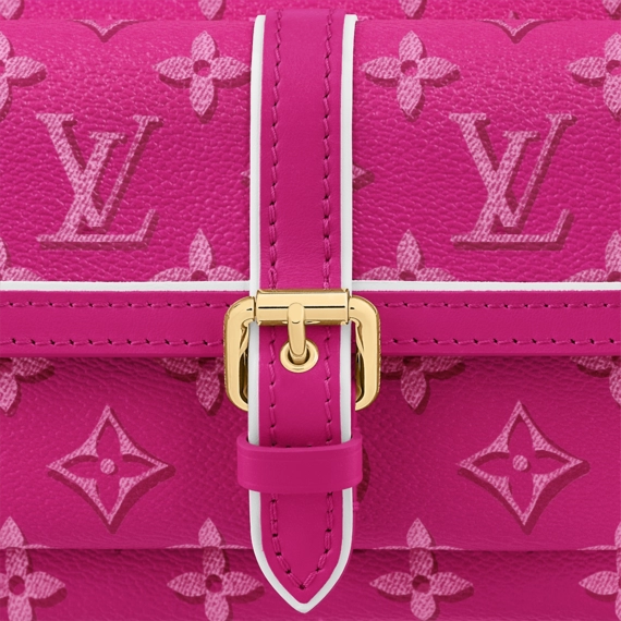 Authentic Louis Vuitton Maxi Multi Pochette Accessoires for Women