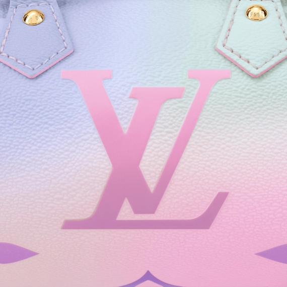 Women's Louis Vuitton Papillon BB Original