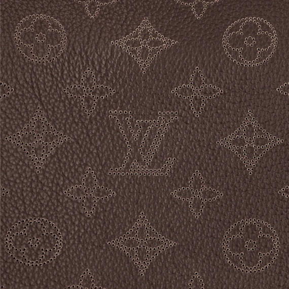 Get the New Louis Vuitton Carmel Now