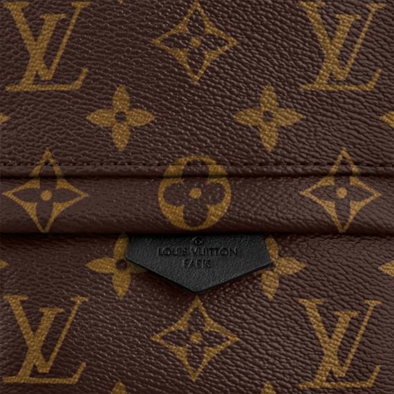 Women's Louis Vuitton Palm Springs Mini - the newest fashion must-have!