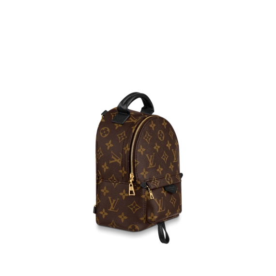 Women's Louis Vuitton Palm Springs Mini Original - get the genuine item now!