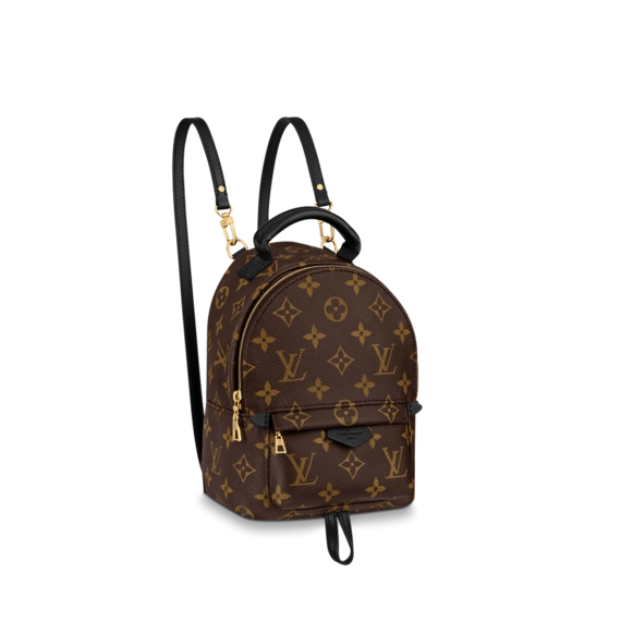 Women's Louis Vuitton Palm Springs Mini Buy - offering the latest fashionable style!