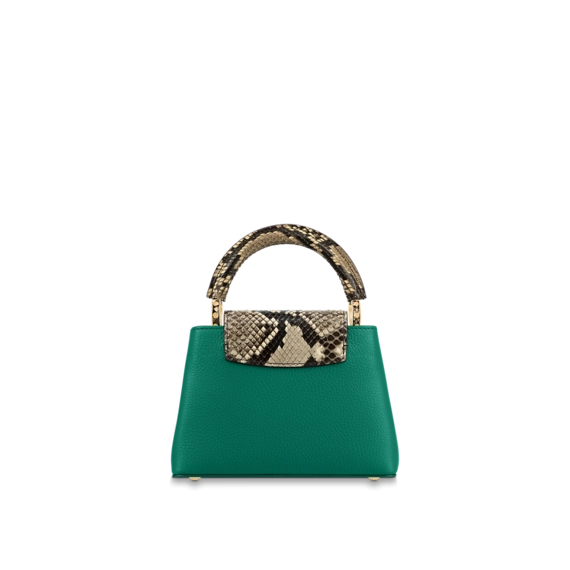 Get the Women's Louis Vuitton Capucines Mini Now