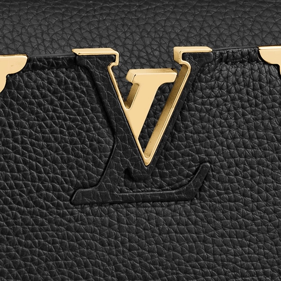 Women's Louis Vuitton Capucines MM - New & Sale