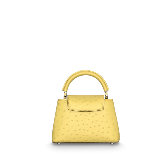 Women's Classic Louis Vuitton Capucines Mini - Direct from the Outlet