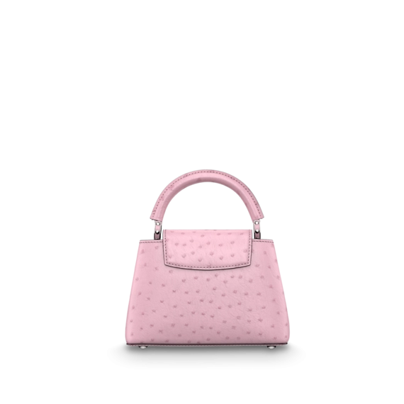 Invest in Luxury - Shop the Louis Vuitton Capucines Mini at an Outlet!