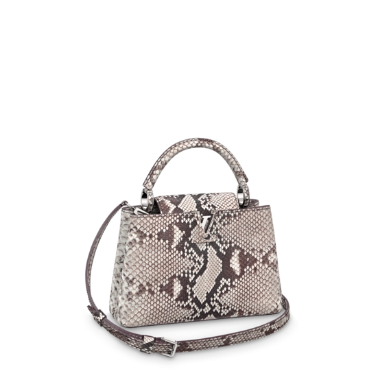 Buy the stylish Louis Vuitton Capucines BB purse for women at an outlet price.