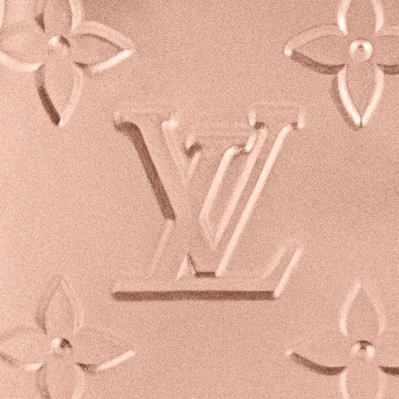 Look Your Best with Louis Vuitton Mini Pochette Accessoires for Women