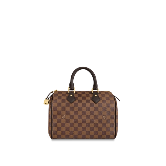 Women's Louis Vuitton Speedy 25: An Original