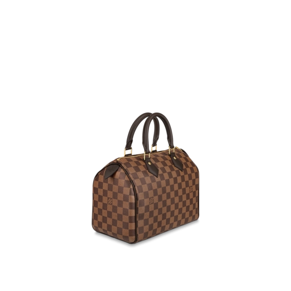 Women's New Louis Vuitton Speedy 25