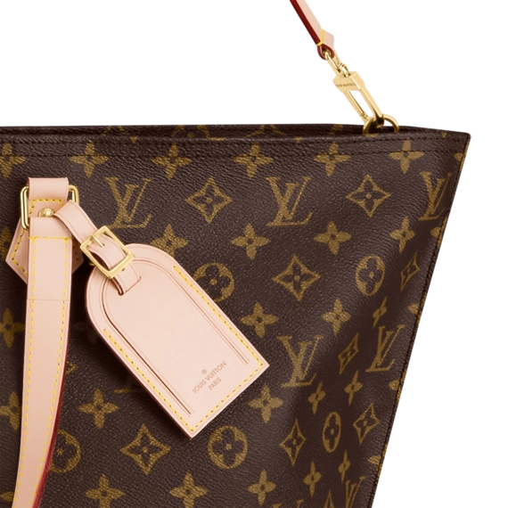 Original Louis Vuitton All-In Bandouliere GM for Women