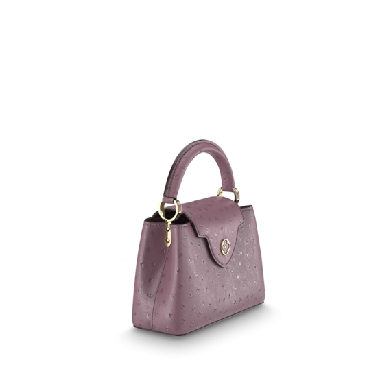 Find Your Perfect Outlet Louis Vuitton Capucines Mini Purple