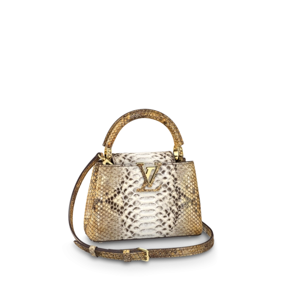 New Brown and Golden Louis Vuitton Capucines Mini Combination: Buy Now!