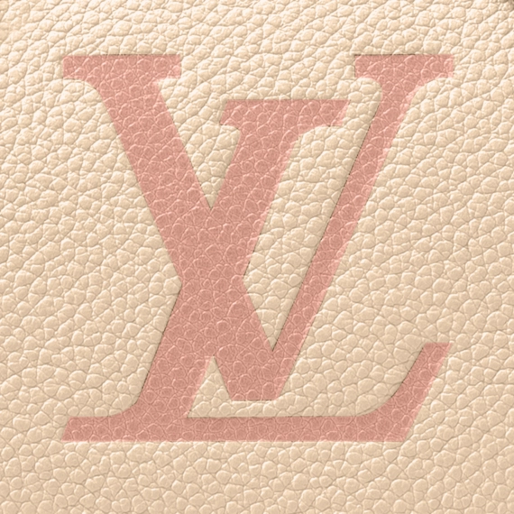 Louis Vuitton Speedy Bandoulière 20