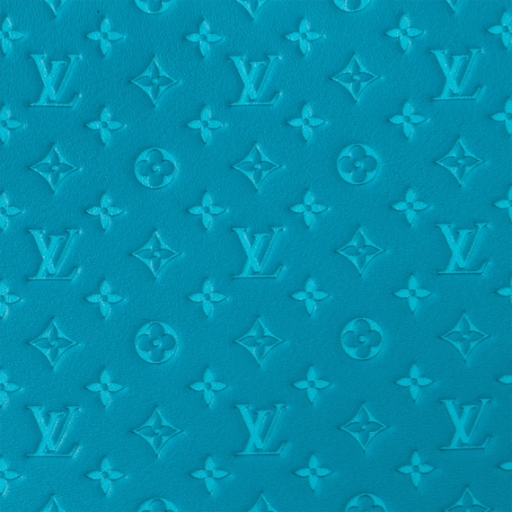 Louis Vuitton Loop