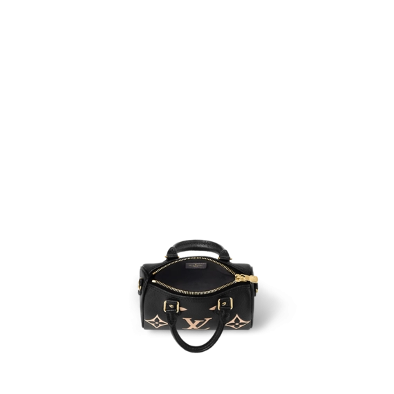 Louis Vuitton Nano Speedy