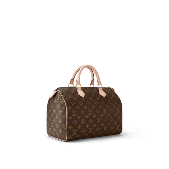 Louis Vuitton Speedy 30