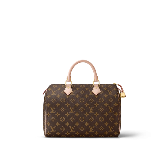 Louis Vuitton Speedy 30