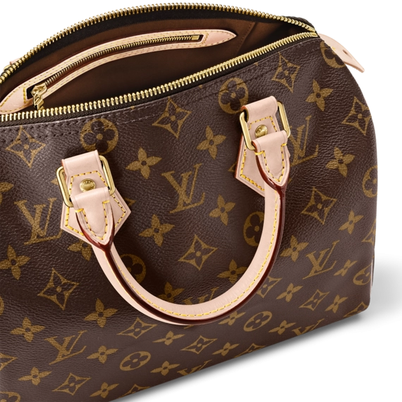 Louis Vuitton Speedy 25