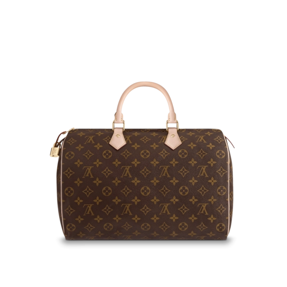 Louis Vuitton Speedy 35