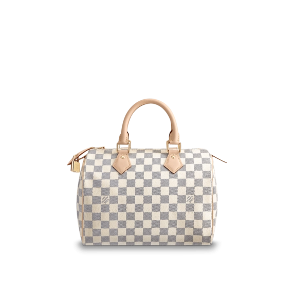 Louis Vuitton Speedy 25