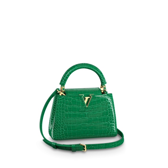 Louis Vuitton Capucines Mini